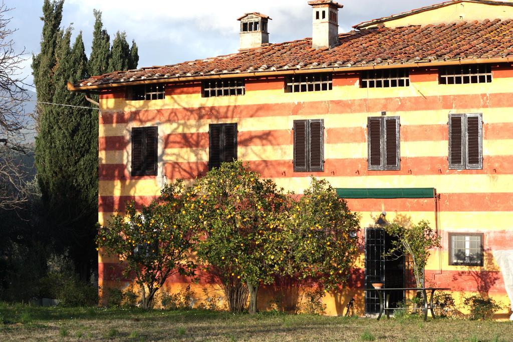 Fattoria Di Camporomano Massarosa Bagian luar foto