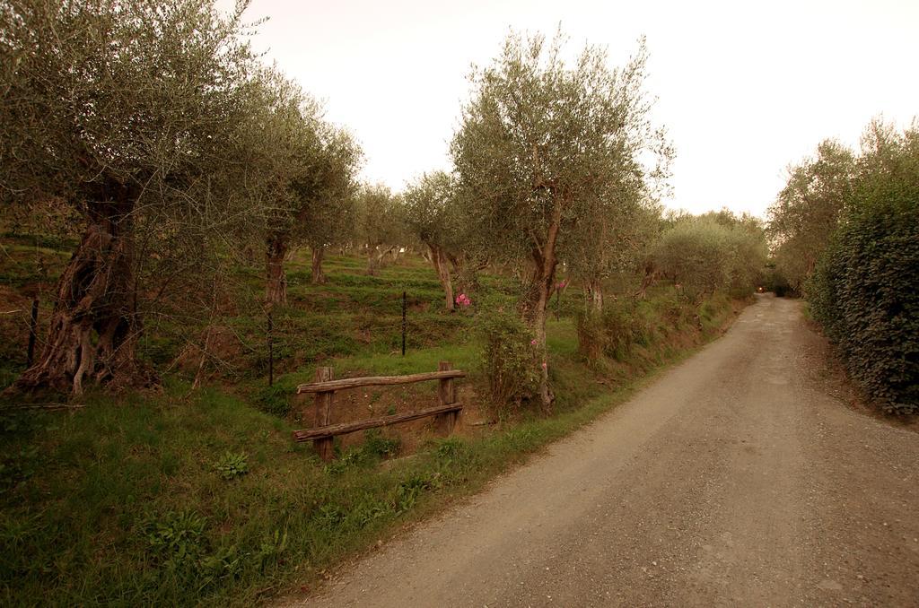 Fattoria Di Camporomano Massarosa Bagian luar foto