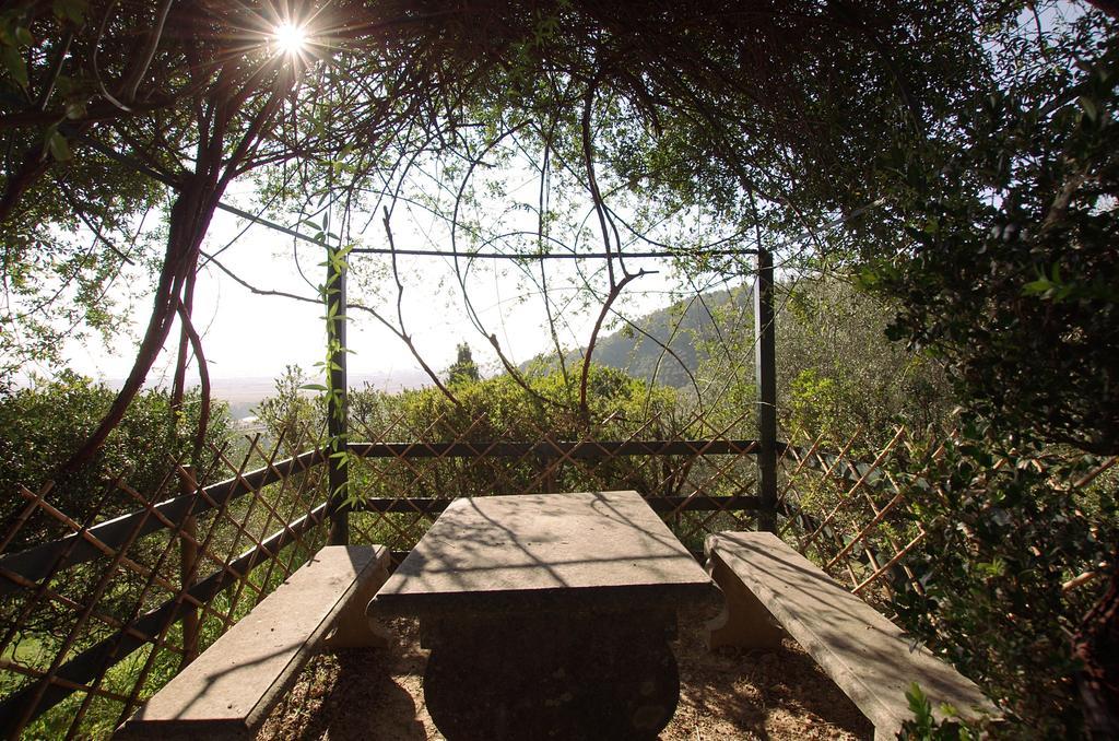 Fattoria Di Camporomano Massarosa Bagian luar foto